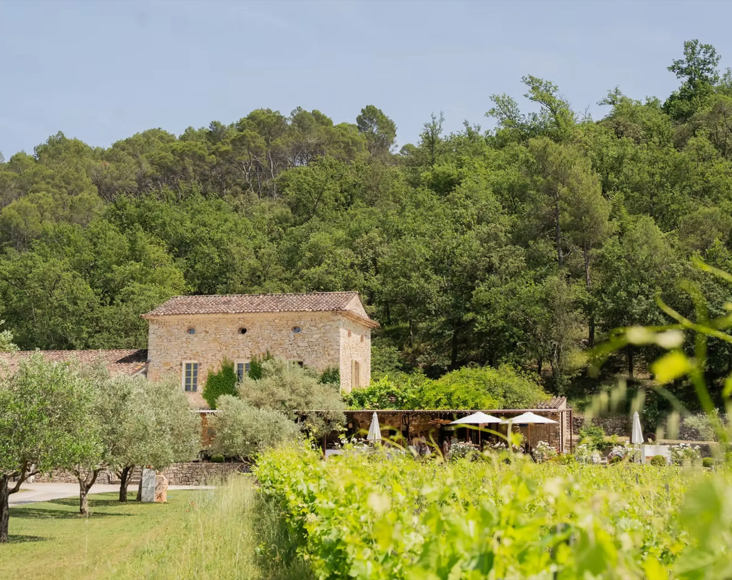 La bastide au milieu des vignes